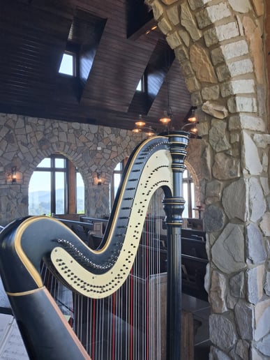 Gallery photo 6 of Upstate Harpist