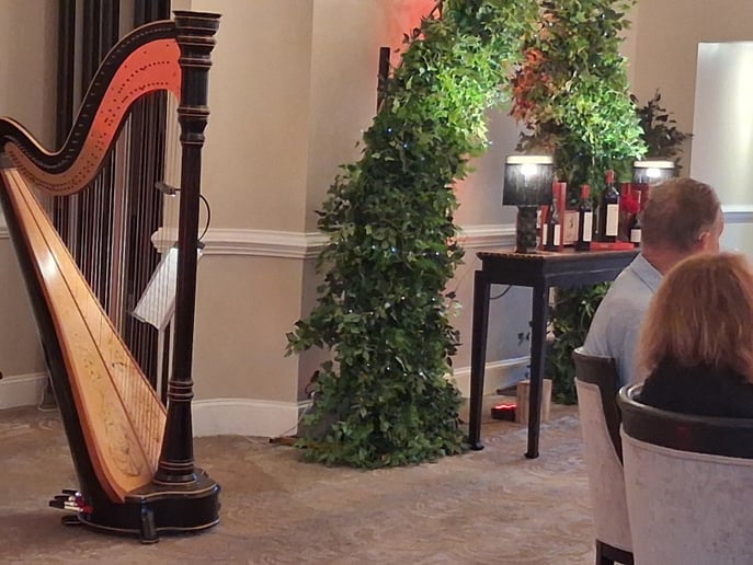 Gallery photo 7 of Upstate Harpist