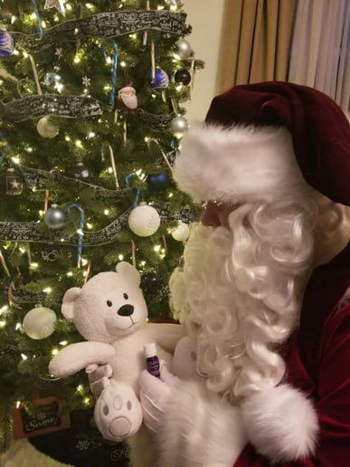 Gallery photo 8 of Upstate Santa
