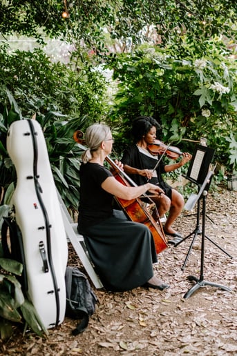 Gallery photo 1 of Upstate Strings, LLC