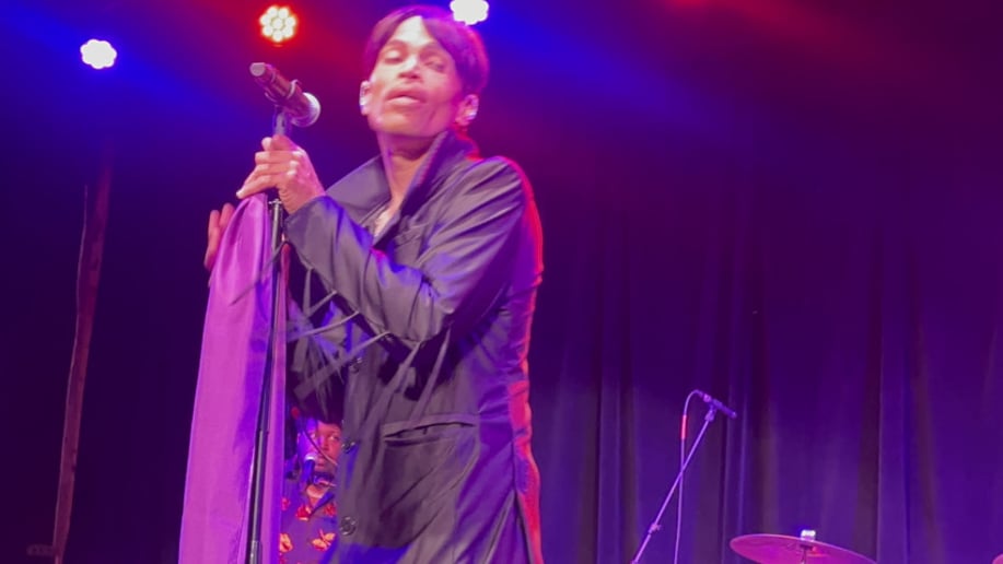 Gallery photo 3 of Uptown Prince Tribute