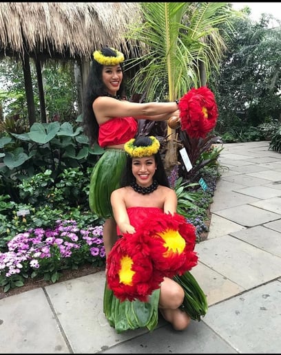 Gallery photo 3 of Uso’s Polynesian Entertainment