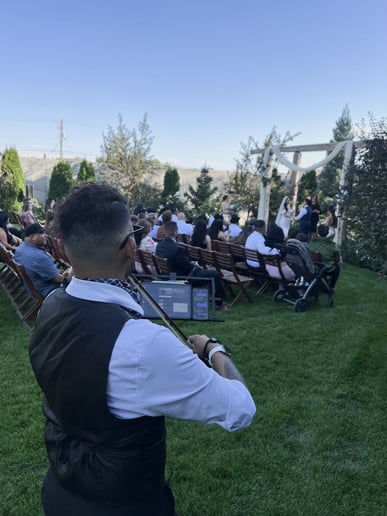 Gallery photo 3 of Utah ViolinEs