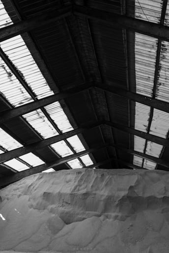 Gallery photo 6 of vaGnasty