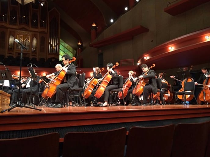 Gallery photo 2 of Valdez Cello