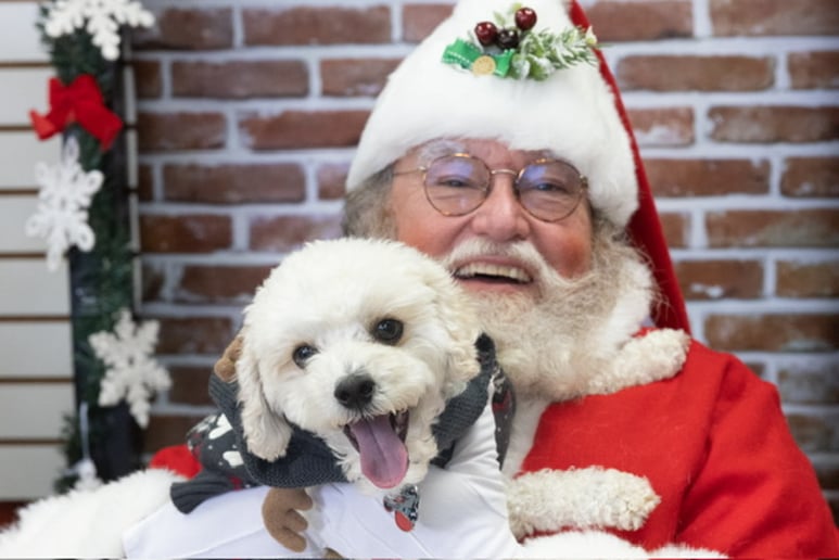 Gallery photo 3 of Valpo Santa C