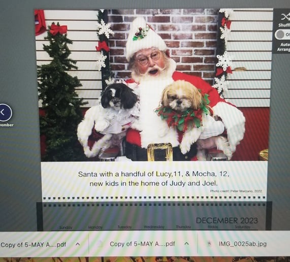 Gallery photo 4 of Valpo Santa C