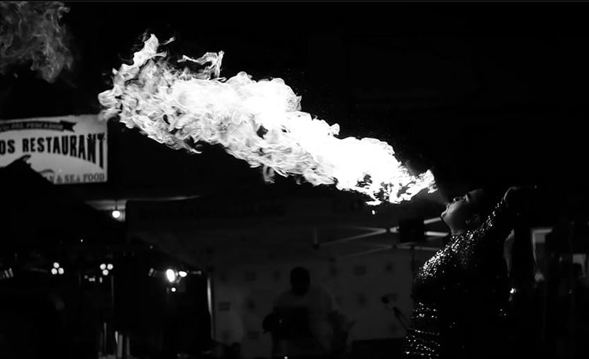 Gallery photo 3 of Variety Dancer and Fire Performer
