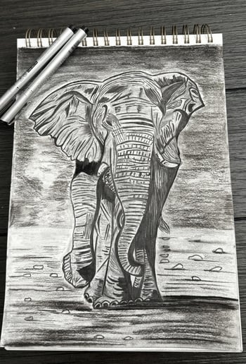 Gallery photo 2 of Varnam by Shweta