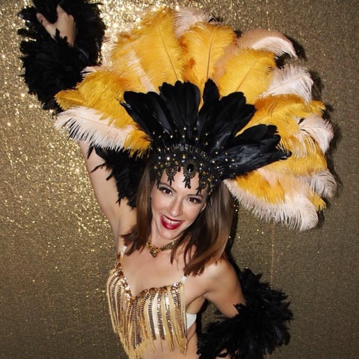 Gallery photo 68 of Vaudeville Entertainment LLC