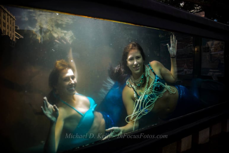 Gallery photo 58 of Vaudeville Entertainment LLC
