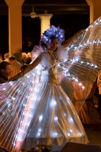 Gallery photo 88 of Vaudeville Entertainment LLC
