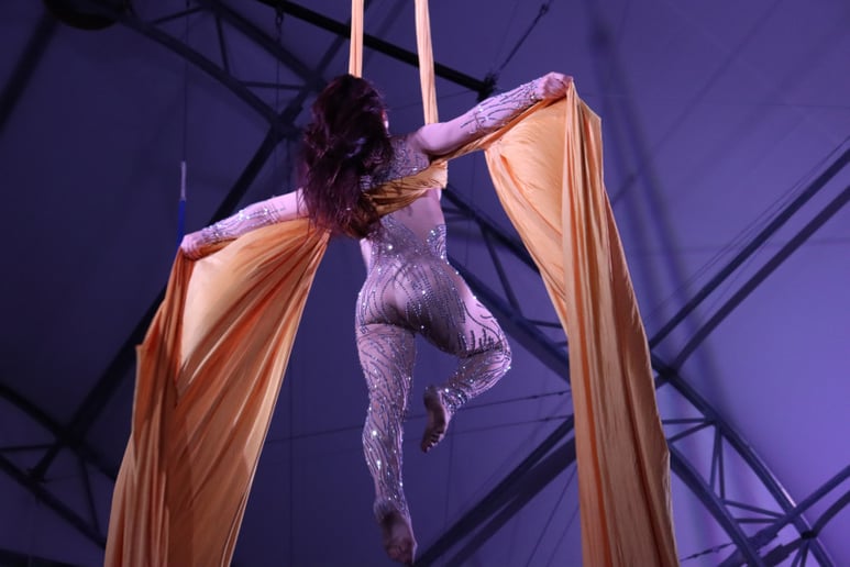 Gallery photo 2 of Vegas Aerialist
