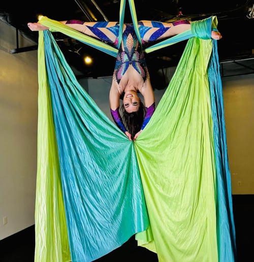 Gallery photo 5 of Vegas Aerialist
