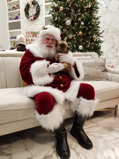Gallery photo 24 of Las Vegas Santa Claus