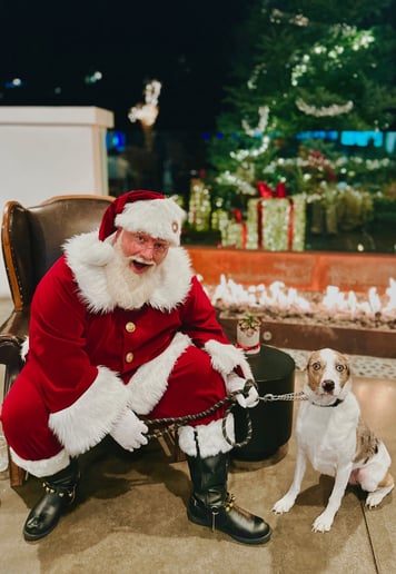 Gallery photo 1 of Vegas Saint Nick