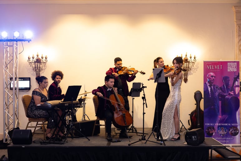 Gallery photo 6 of Velveteen Ensemble | Curated by Marcel