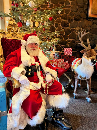 Gallery photo 1 of Verified Santa
