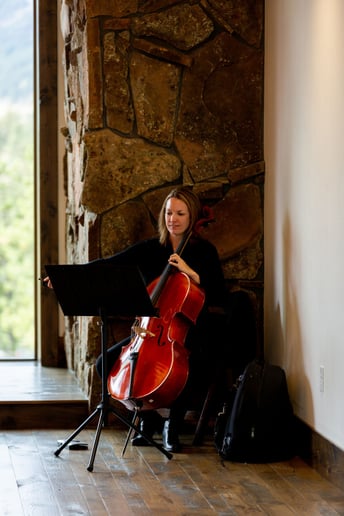 Gallery photo 1 of Vermilion Strings