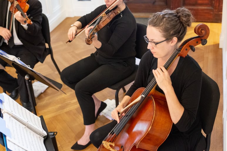 Gallery photo 2 of Vermilion Strings