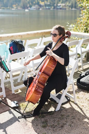 Gallery photo 5 of Vermilion Strings