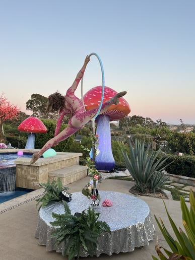 Gallery photo 88 of CirqueVana™