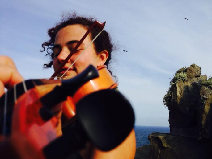 Gallery photo 1 of Versatile Fiddler