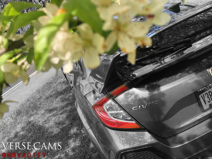 Gallery photo 4 of VerseCams