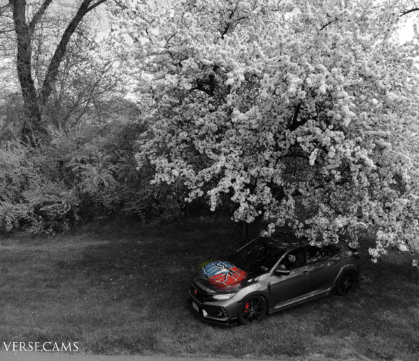 Gallery photo 7 of VerseCams