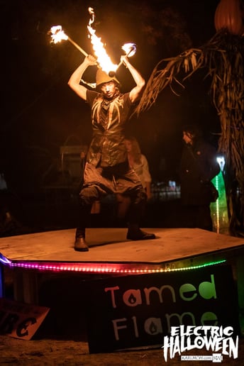 Gallery photo 4 of Tamed Flame Productions