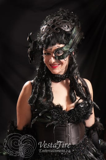 Gallery photo 1 of VestaFire Entertainment