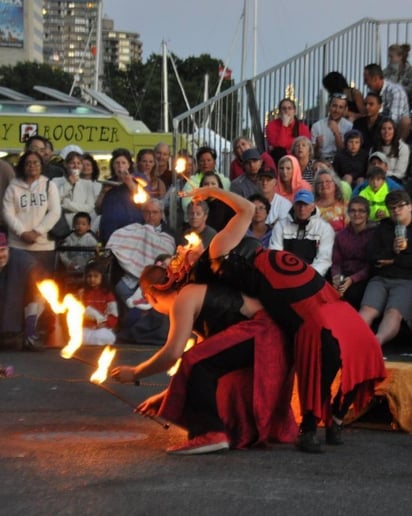Gallery photo 4 of VestaFire Entertainment