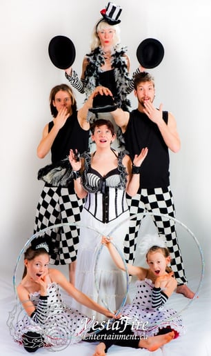 Gallery photo 6 of VestaFire Entertainment