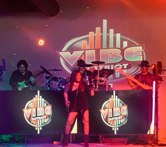 Gallery photo 2 of Vibe District Band