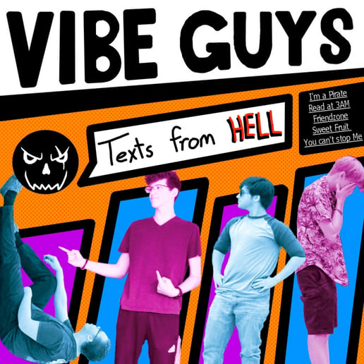 Gallery photo 1 of Vibe Guys