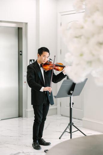 Gallery photo 1 of Vibing Violinist