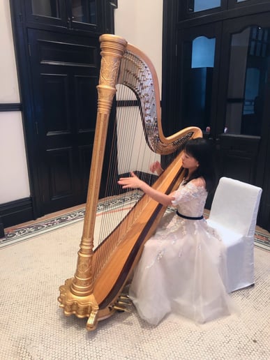 Gallery photo 1 of Vicki Chen Harp Music
