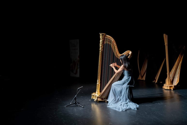 Gallery photo 8 of Vicki Chen Harp Music