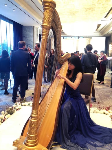 Gallery photo 9 of Vicki Chen Harp Music