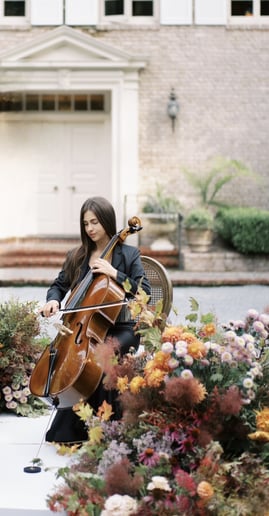 Gallery photo 1 of Victoria-Luxury Modern & Classical Cello