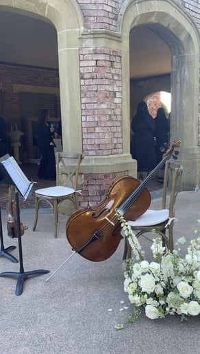 Gallery photo 9 of Victoria-Luxury Modern & Classical Cello