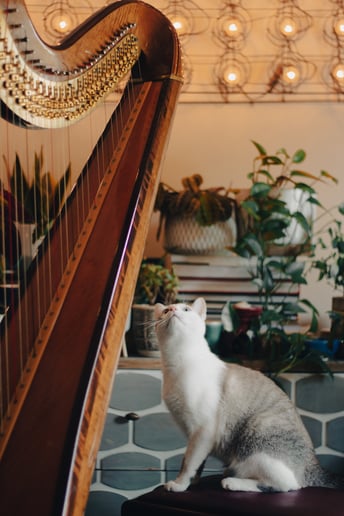 Gallery photo 3 of Victoria Parrish Harpist