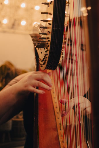 Gallery photo 4 of Victoria Parrish Harpist