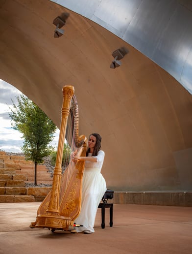 Gallery photo 3 of Victory Harp Music