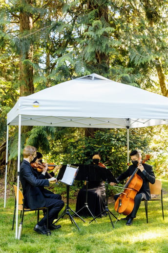 Gallery photo 3 of Vilächel String Quartet