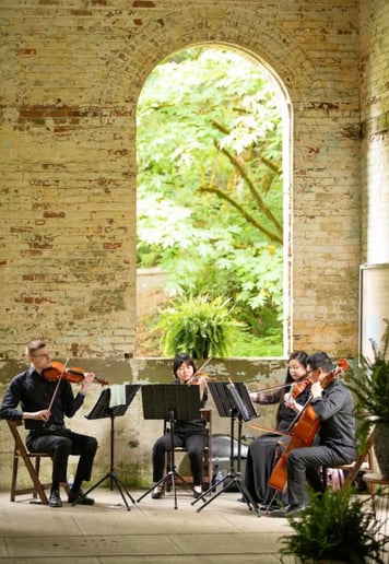 Gallery photo 4 of Vilächel String Quartet