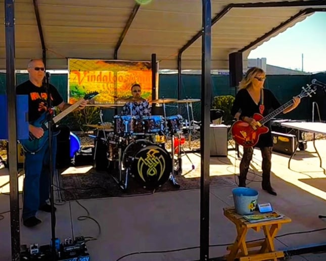 Gallery photo 4 of Vindaloo Band