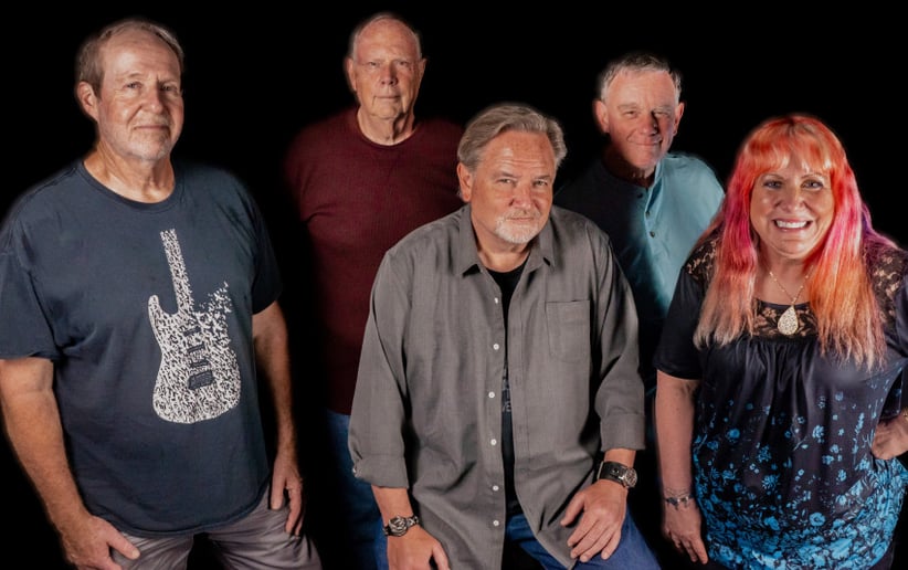 Gallery photo 1 of Vinyl Ventures Band