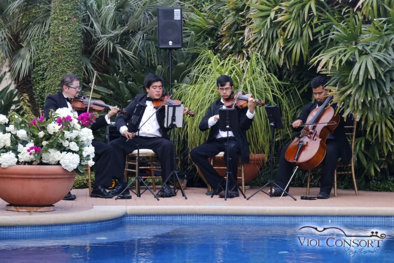 Gallery photo 5 of Viol Consort String Quartet