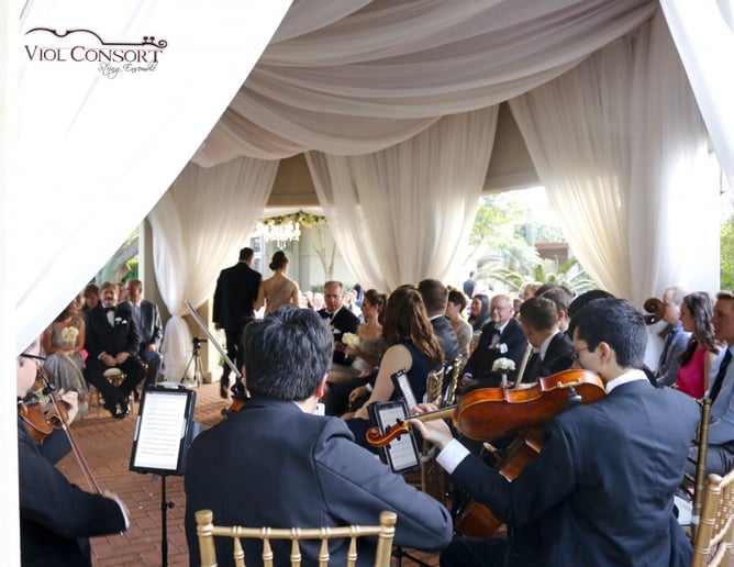 Gallery photo 6 of Viol Consort String Quartet